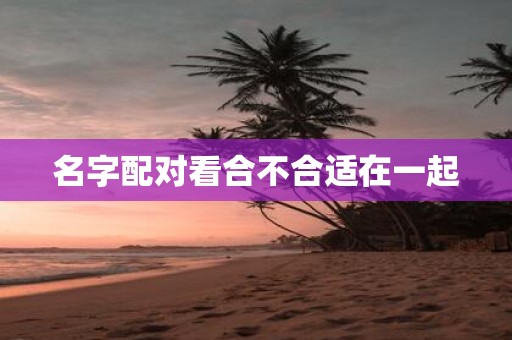 名字配对看合不合适在一起