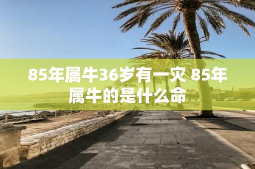 85年属牛36岁有一灾 85年属牛的是什么命