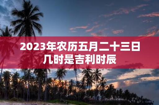 2025年农历五月二十三日几时是吉利时辰