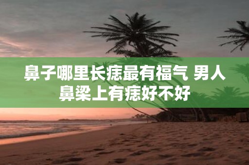 鼻子哪里长痣最有福气 男人鼻梁上有痣好不好