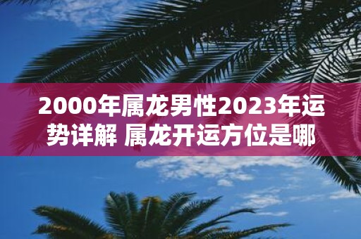 2000年属龙男性2025年运势详解 属龙开运方位是哪里