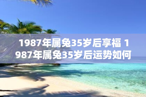1987年属兔35岁后享福 1987年属兔35岁后运势如何