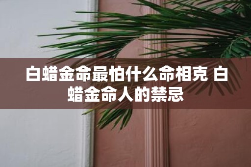 白蜡金命最怕什么命相克 白蜡金命人的禁忌