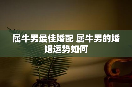 属牛男最佳婚配 属牛男的婚姻运势如何