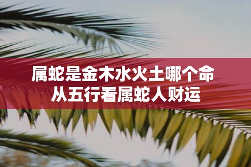 属蛇是金木水火土哪个命 从五行看属蛇人财运