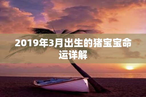 2019年3月出生的猪宝宝命运详解