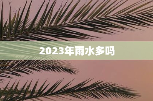 2025年雨水多吗