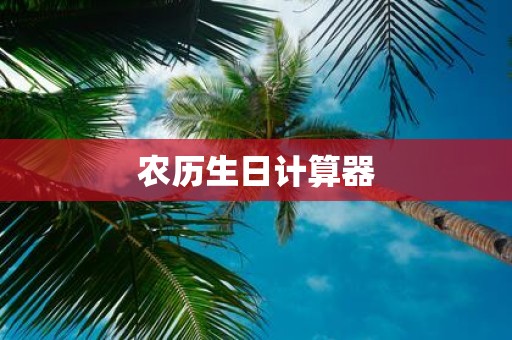 农历生日计算器