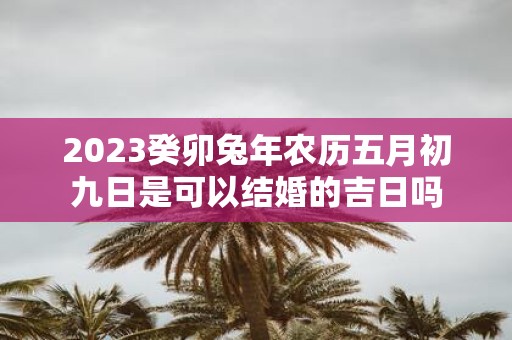 2025癸卯蛇年农历五月初九日是可以结婚的吉日吗
