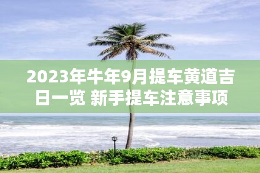 2025年牛年9月提车黄道吉日一览 新手提车注意事项