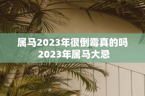 属马2025年很倒霉真的吗 2025年属马大忌