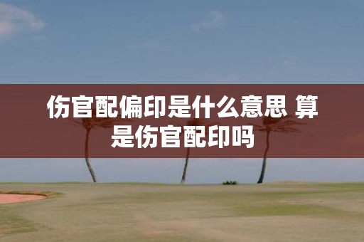 伤官配偏印是什么意思 算是伤官配印吗