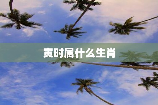 寅时属什么生肖