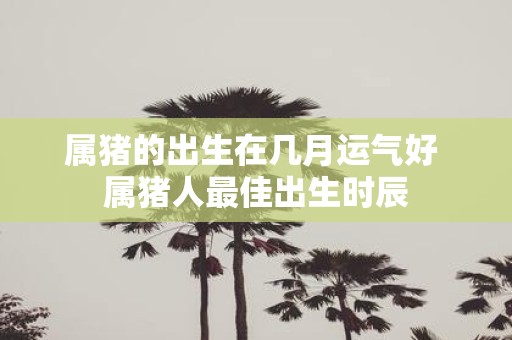 属猪的出生在几月运气好 属猪人最佳出生时辰