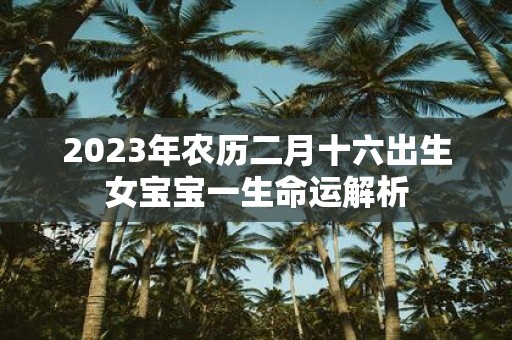2025年农历二月十六出生女宝宝一生命运解析