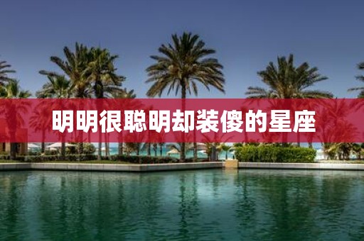 明明很聪明却装傻的星座