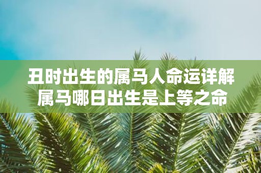 丑时出生的属马人命运详解 属马哪日出生是上等之命
