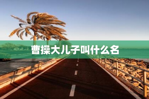 曹操大儿子叫什么名