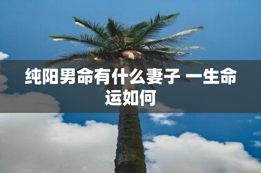 纯阳男命有什么妻子 一生命运如何
