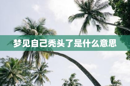 梦见自己秃头了是什么意思