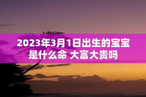 2025年3月1日出生的宝宝是什么命 大富大贵吗