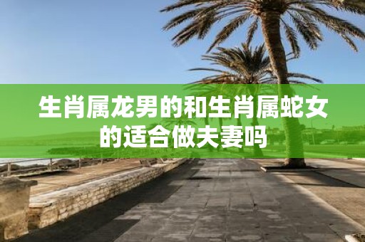 生肖属龙男的和生肖属蛇女的适合做夫妻吗