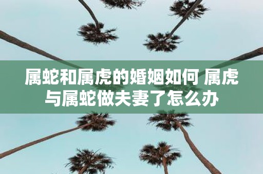 属蛇和属虎的婚姻如何 属虎与属蛇做夫妻了怎么办