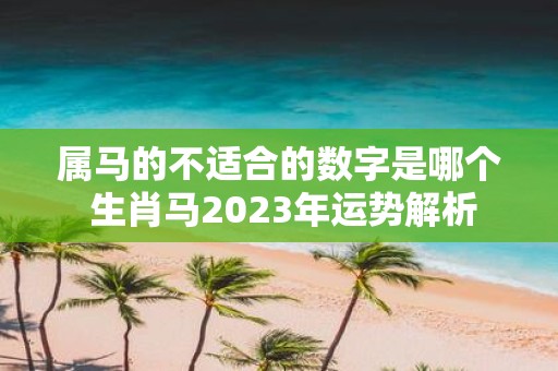 属马的不适合的数字是哪个 生肖马2025年运势解析
