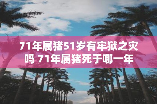 71年属猪51岁有牢狱之灾吗 71年属猪死于哪一年