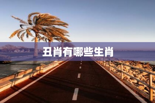 丑肖有哪些生肖