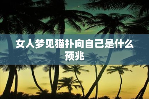 女人梦见猫扑向自己是什么预兆