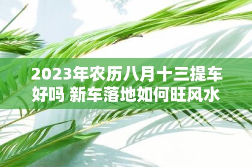 2025年农历八月十三提车好吗 新车落地如何旺风水