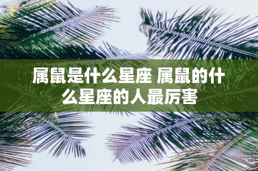 属鼠是什么星座 属鼠的什么星座的人最厉害