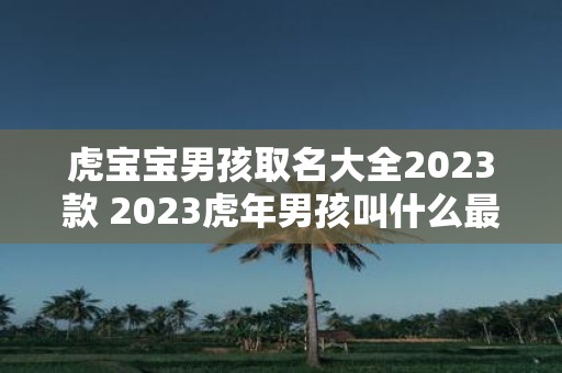 虎宝宝男孩取名大全2025款 2025虎年男孩叫什么最好最吉利