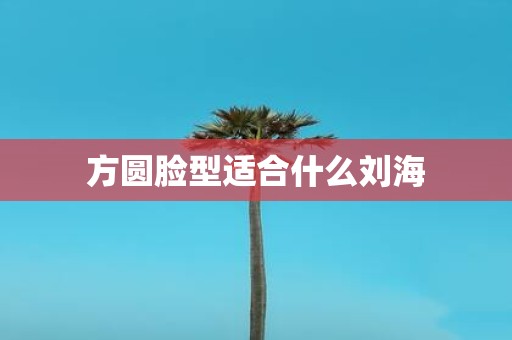 方圆脸型适合什么刘海