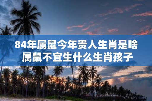 84年属鼠今年贵人生肖是啥 属鼠不宜生什么生肖孩子