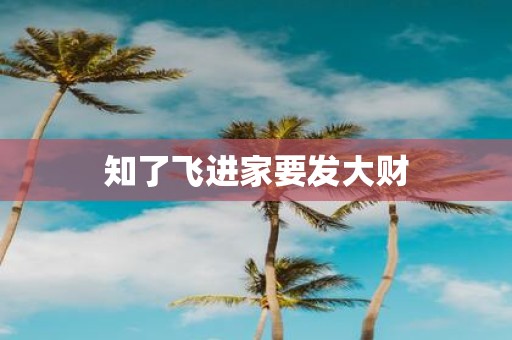 知了飞进家要发大财