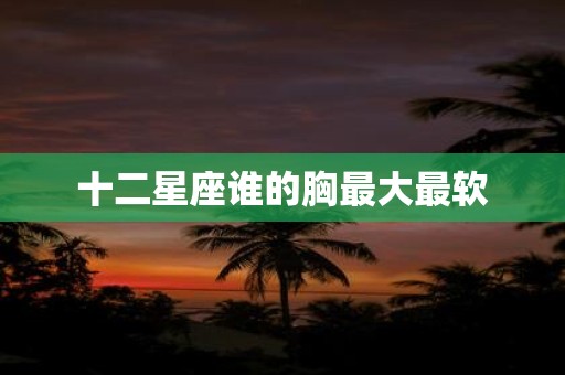十二星座谁的胸最大最软