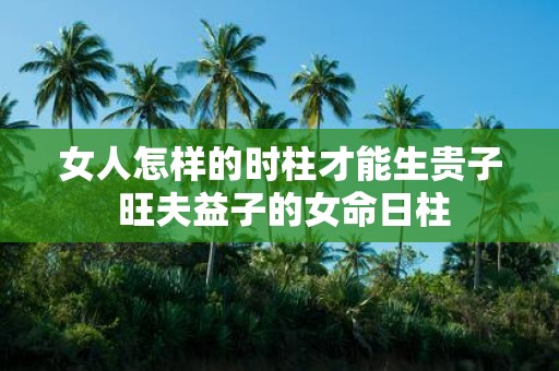 女人怎样的时柱才能生贵子 旺夫益子的女命日柱
