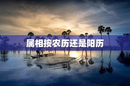 属相按农历还是阳历