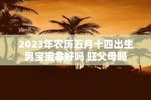 2025年农历五月十四出生男宝宝命好吗 旺父母吗