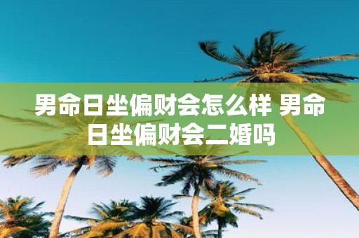 男命日坐偏财会怎么样 男命日坐偏财会二婚吗