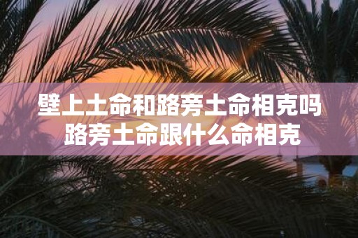 壁上土命和路旁土命相克吗 路旁土命跟什么命相克