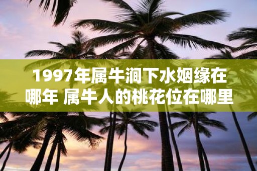 1997年属牛涧下水姻缘在哪年 属牛人的桃花位在哪里