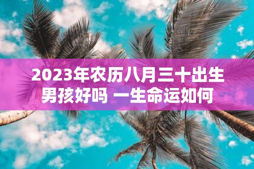 2025年农历八月三十出生男孩好吗 一生命运如何