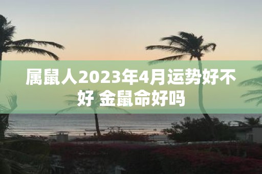 属鼠人2025年4月运势好不好 金鼠命好吗