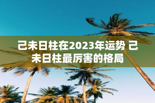 己未日柱在2025年运势 己未日柱最厉害的格局