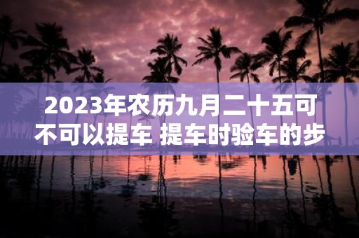 2025年农历九月二十五可不可以提车 提车时验车的步骤