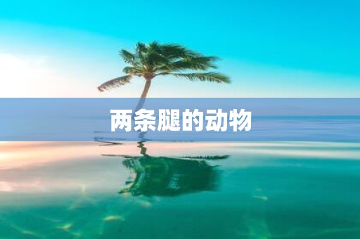 两条腿的动物