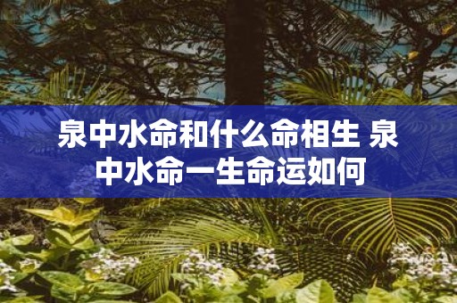 泉中水命和什么命相生 泉中水命一生命运如何